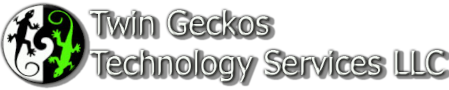 Twin Geckos Technology Services LLC